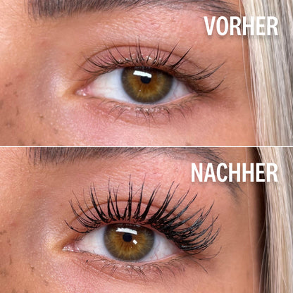 Lash Brow Boom Set